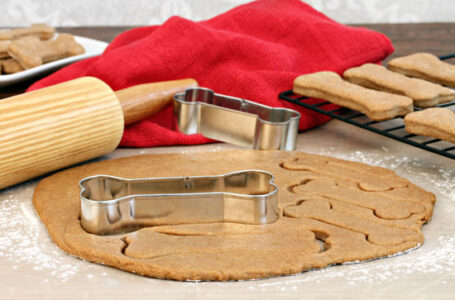 Healthy Homemade Dog Treats Image